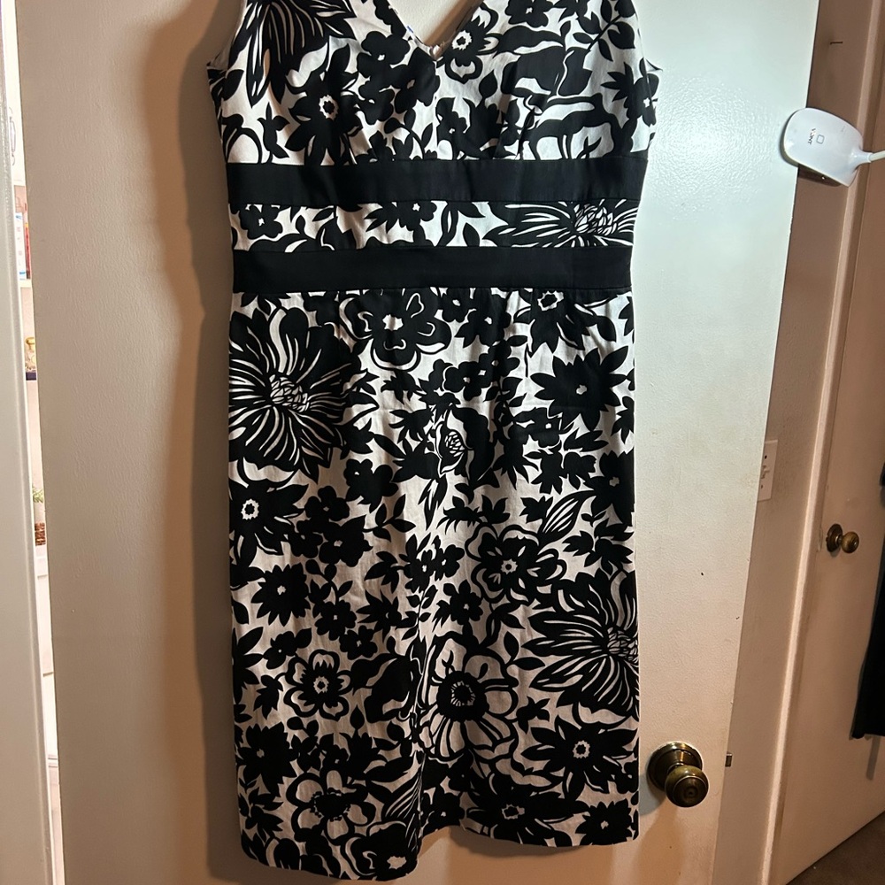 Donna Ricco Black and White Floral V-Neck Dress